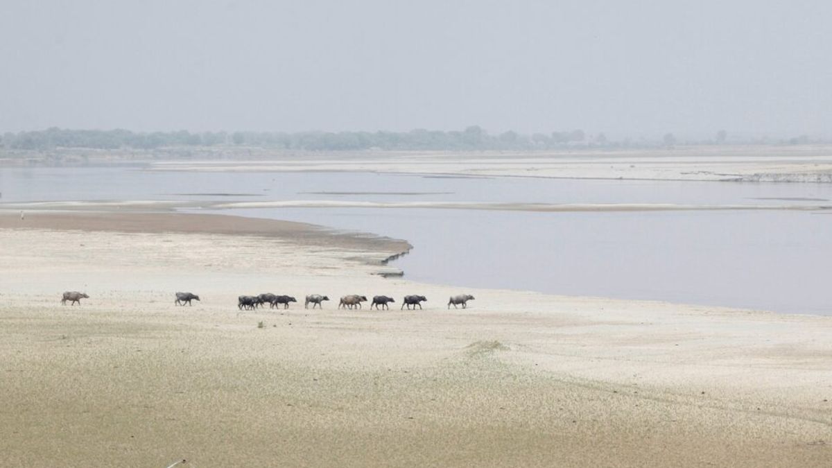 with-indus-waters-treaty-in-abeyance-indias-mega-canal-plans-additional-restrictions-could-leave-pakistan-thirsty
