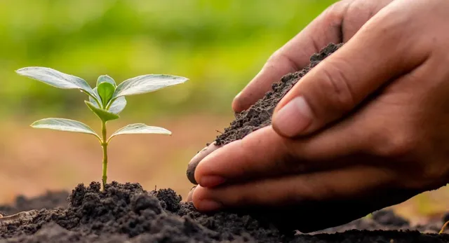 up-cabinet-approves-rs-266-crore-plan-for-seed-parks-across-five-zones-aims-to-create-over-21000-jobs-details