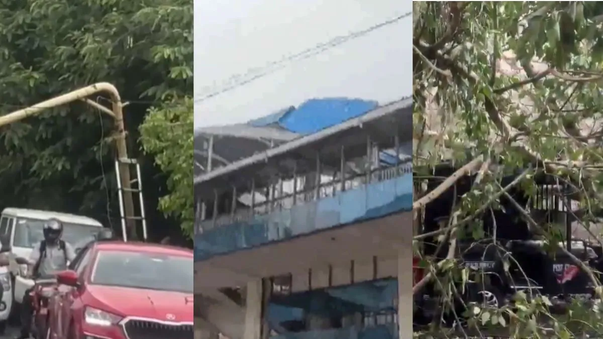 delhi-rapid-rail-stations-roof-damaged-trees-traffic-signal-uprooted-in-noida-as-thunderstorm-wreak-havoc-across-ncr-watch