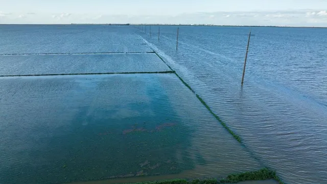 return-of-ghost-lake-californias-tulare-lake-submerges-farmland-after-130-years-flooding-94000-acres