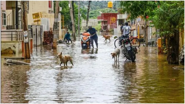 bengaluru-rains-woman-killed-in-wall-collapse-as-city-flooded-with-104-cm-rainfall-in-24-hours