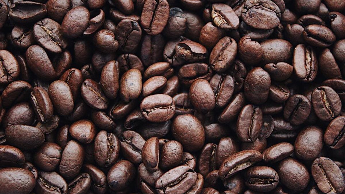 9 weirdest coffee sources around the world (2)