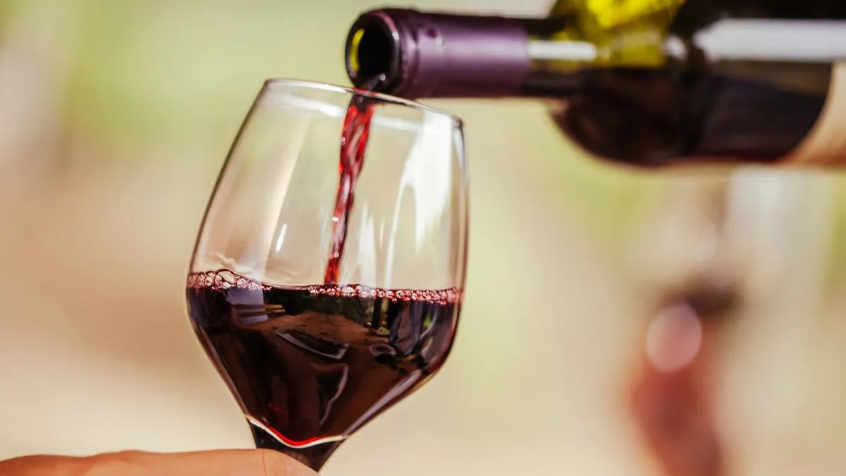 up-to-boost-wine-production-with-support-for-fruit-based-innovation-and-new-investments