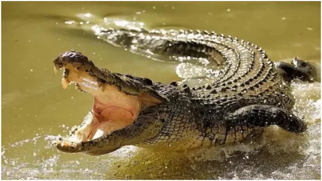 doctor-death-notorious-serial-killer-who-fed-victims-to-crocodiles-arrested-in-rajasthan