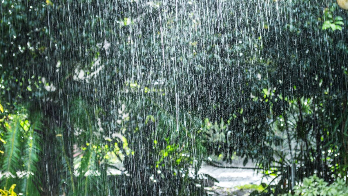 sikkim-weather-imd-warns-of-heavy-rainfall-till-may-26-issues-flood-and-landslide-alerts