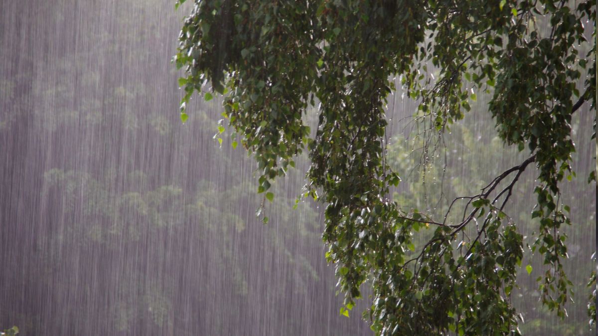 maharashtra-weather-imd-forecasts-intense-rains-in-konkan-region-pune-on-orange-alert-for-next-two-days