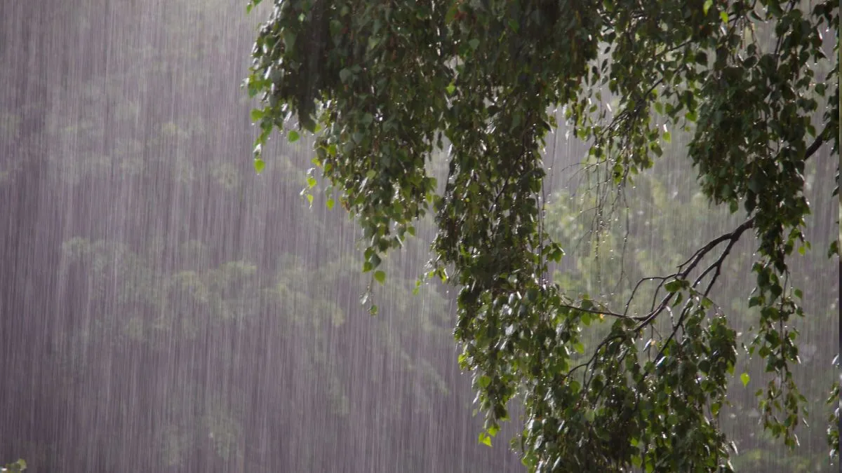 maharashtra-weather-imd-forecasts-intense-rains-in-konkan-region-pune-on-orange-alert-for-next-two-days