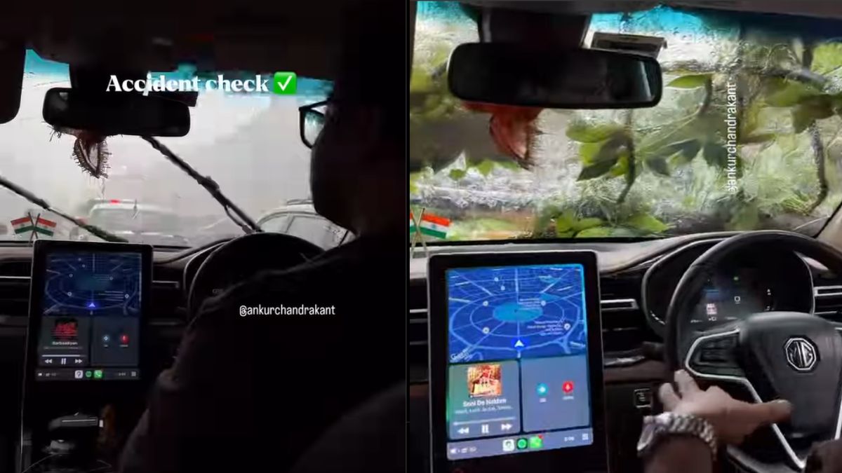 delhi-live-accident-video-tree-suddenly-falls-on-car-while-passengers-stay-shockingly-calm-amid-chaos