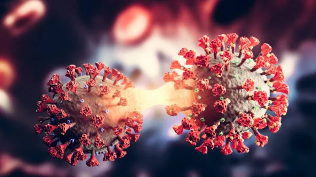 up-covid19-cases-55yearold-woman-tests-positive-in-noida-samples-of-family-members-sent-for-testing