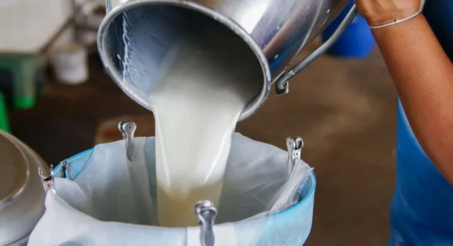 up-govt-launches-statewide-campaign-deploys-task-force-to-combat-milk-adulteration