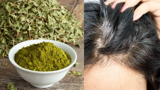 5-herbs-that-naturally-darken-grey-hair-without-dye