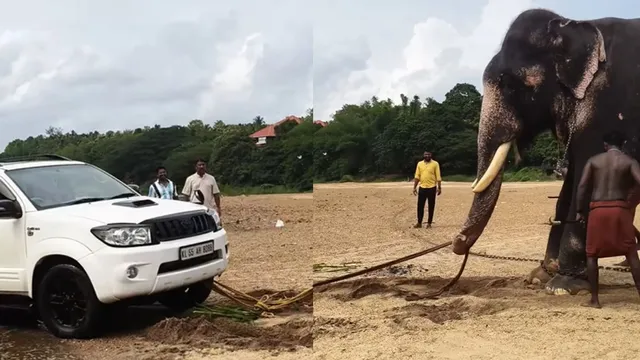 toyota-fortuner-stuck-in-river-in-kerala-elephant-comes-to-the-rescue-watch-viral-video