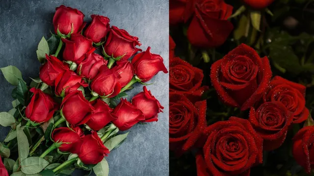 top-5-vastu-remedies-using-rose-flower-for-manifestation-health-success-and-money