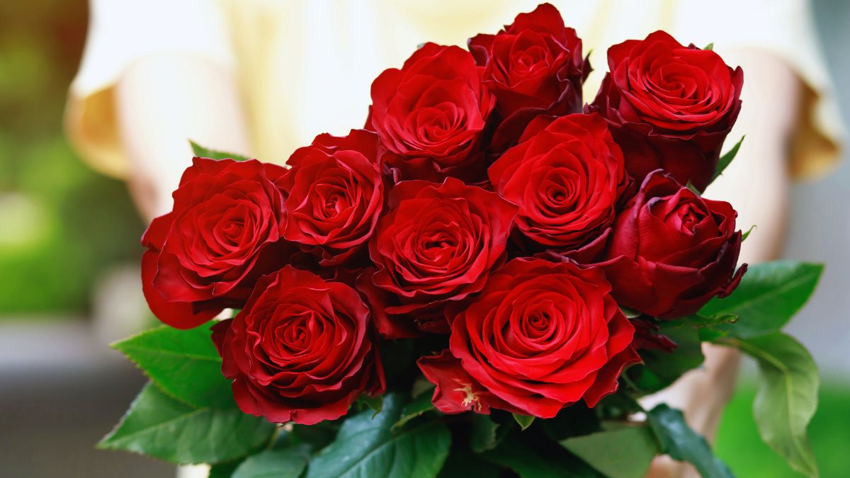 rose-flower-remedies-vastu-shastra