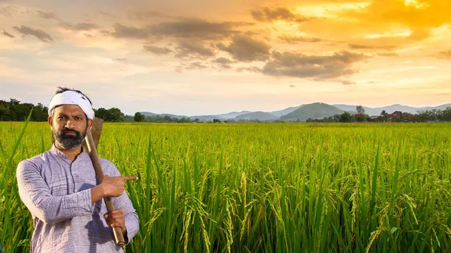 msp-for-kharif-crops-union-cabinet-approves-over-3-increase-in-paddy-msp-check-new-per-quintal-rates-here