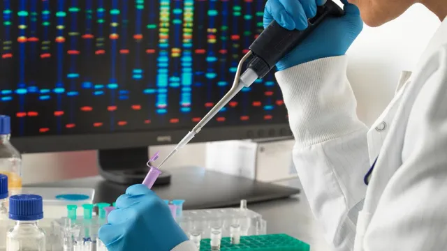 can-combo-of-cancer-drugs-slow-human-aging-scientists-react-to-study-showing-extended-lifespan-in-mice