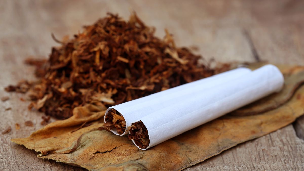 7 Lesser-Known Ways Tobacco Affects Your Body Beyond Lungs| Insights From Doctor