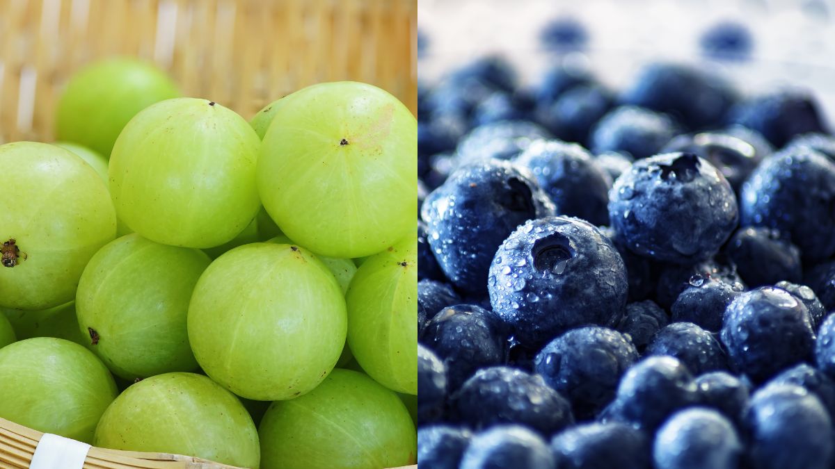Amla vs Blueberries: Which Superfruit Is Best For Your Summer Diet?