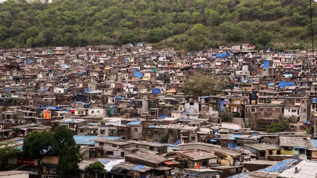 delhi-high-court-halts-eviction-of-115-okhla-properties-by-up-irrigation-dept