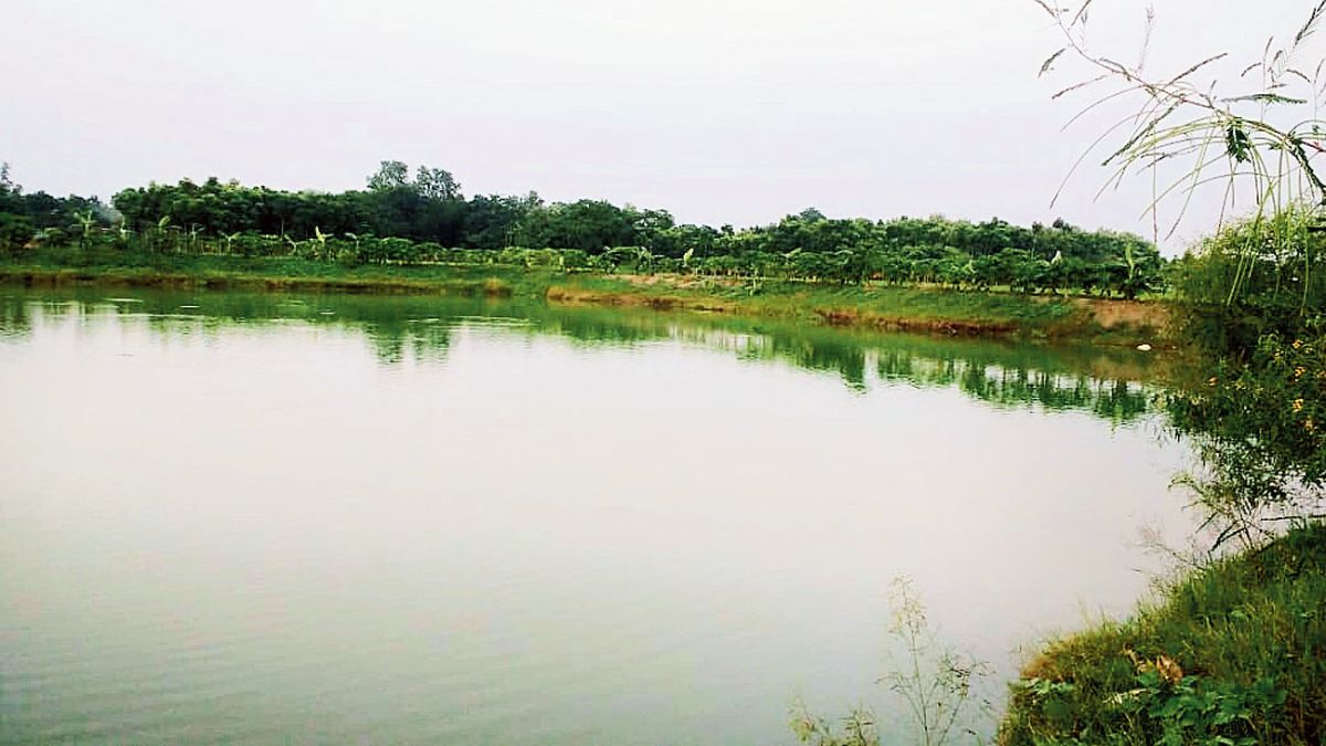 greater-noida-authority-to-revamp-ancient-pond-green-zone-and-temple-in-bhola-rawal-village-for-ecotourism-destination