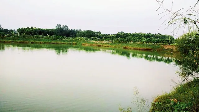 greater-noida-authority-to-revamp-ancient-pond-green-zone-and-temple-in-bhola-rawal-village-for-ecotourism-destination