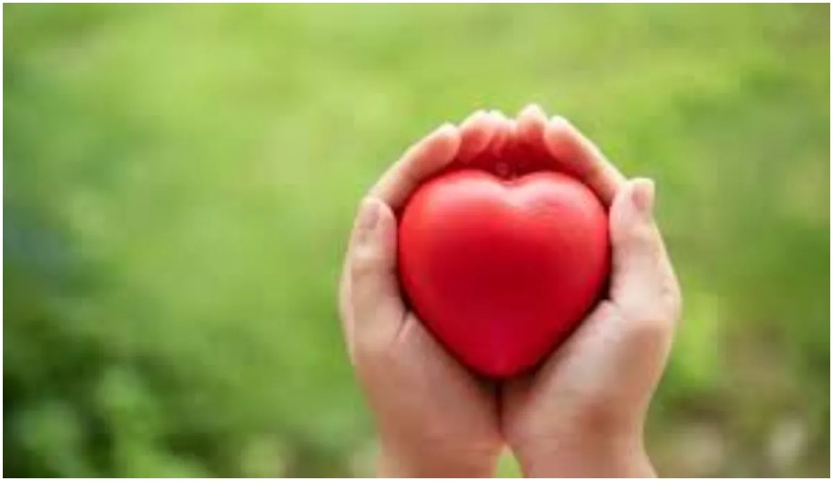 From Ghaziabad To Delhi: Live Heart Transported In 19 Minutes Via Green Corridor, 49-Year-Old Patient Saved