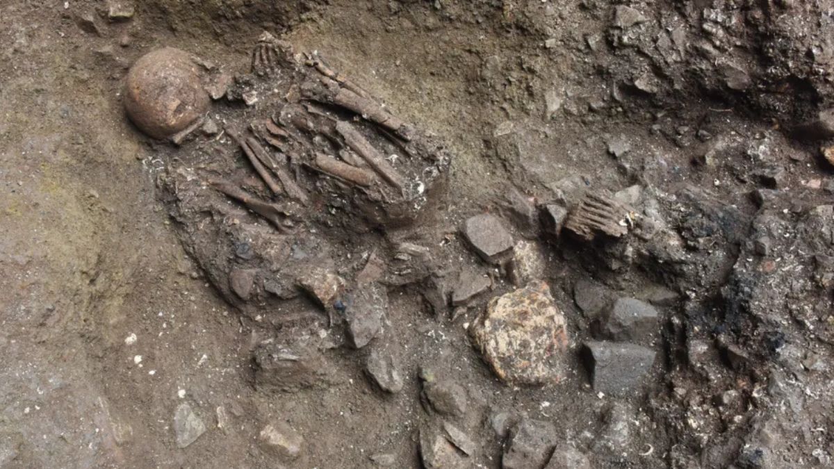 Mysterious ‘Ghost Lineage’ Found In 7,100-Year-Old Chinese Skeleton, Offering Clues To Tibetan Ancestry