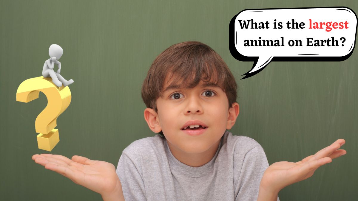 70+ What Is The Largest In The World? Quiz Questions With Answers To Enhance Your General Knowledge
