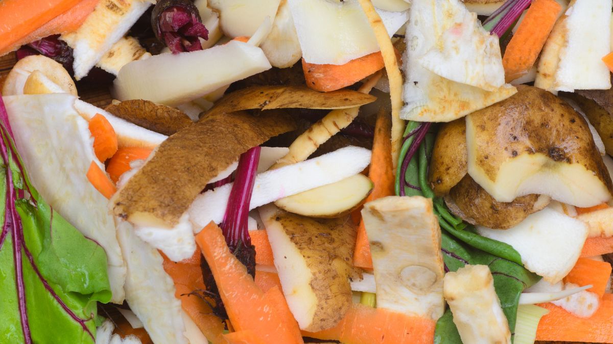 6 Fruit And Vegetable Peels You Can Use As Organic Fertilisers To Feed Your Plants