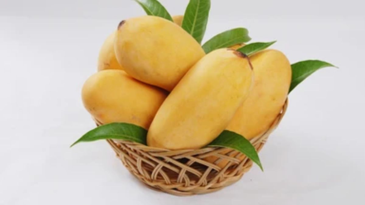 10 most expensive mangoes in the world (3)