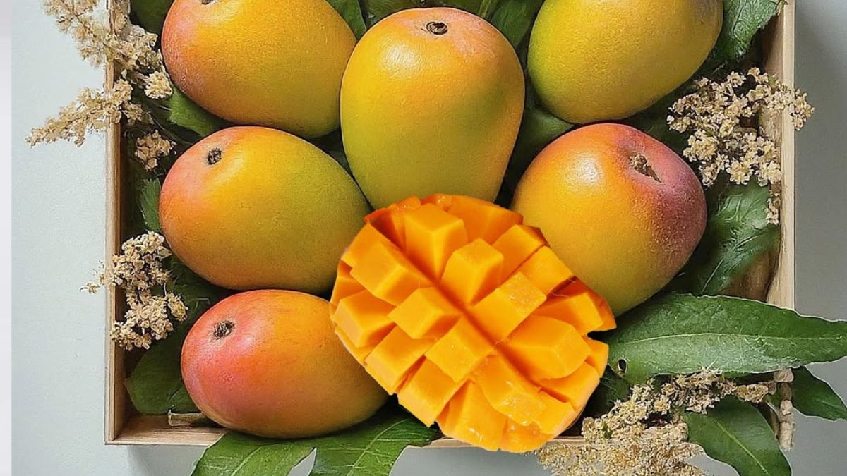 10 most expensive mangoes in the world (4)