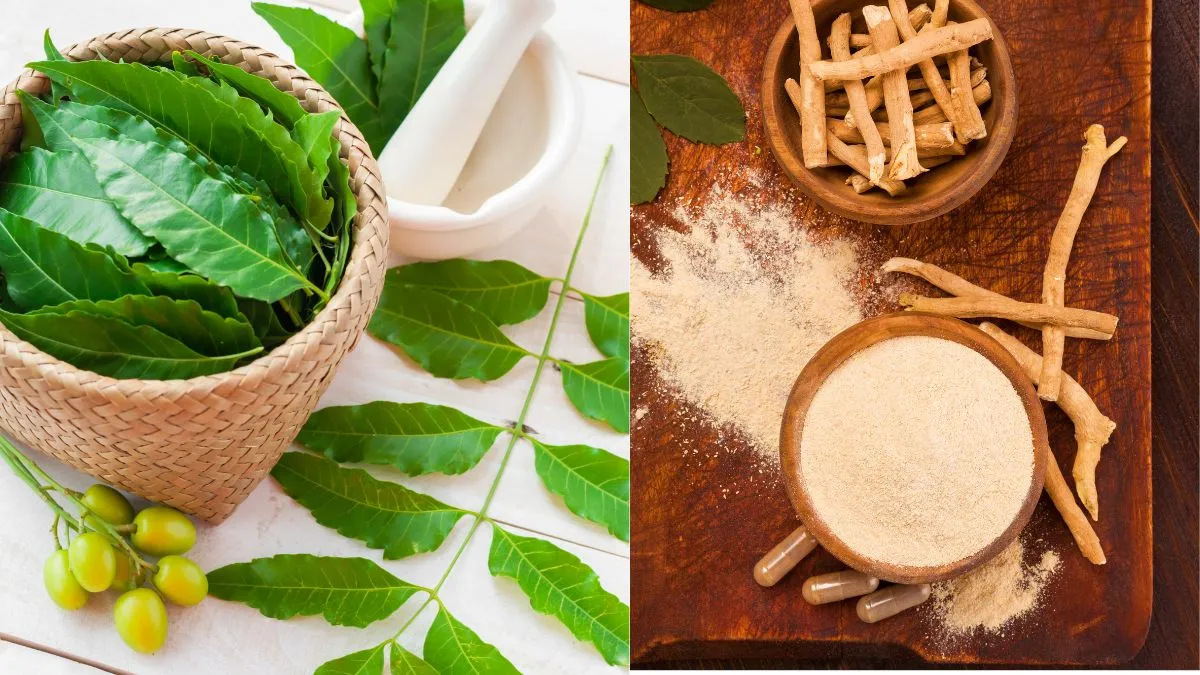 5-ayurvedic-ingredients-to-include-in-your-everyday-skincare-routine-neem-ashwagandha-and-more