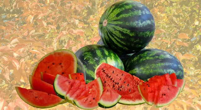 top-10-largest-watermelon-producing-countries-in-the-world-india-ranks-in-top-3
