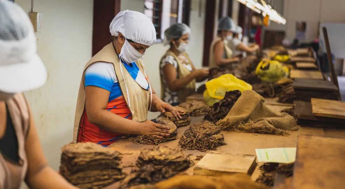 list-of-top-8-largest-tobacco-producing-countries-india-is-one-of-the-top-3