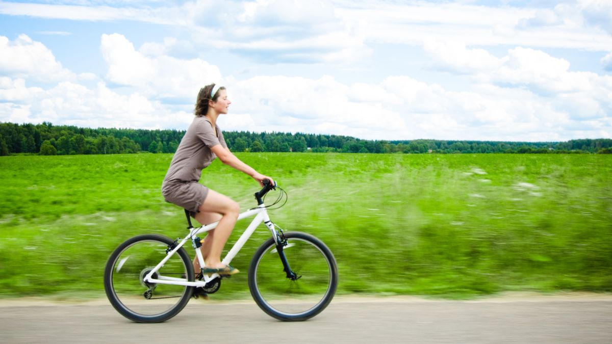 top 10 countries with highest bicycle users