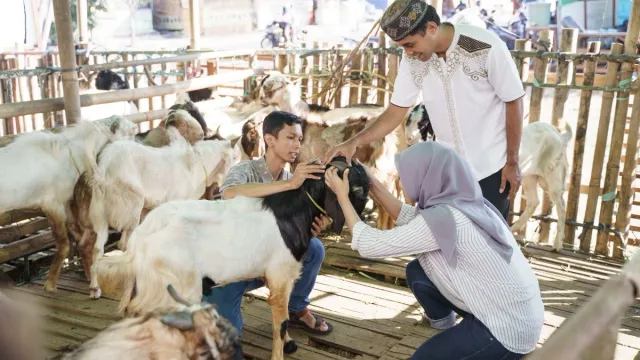 mp-hindu-groups-urge-muslim-community-to-make-symbolic-sacrifices-of-goats-made-of-clay-on-bakrid