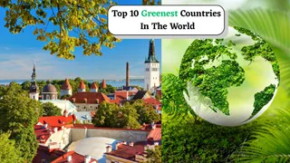 Top 10 Greenest Countries In The World: Estonia, Luxembourg And Others – Check Where India Stands