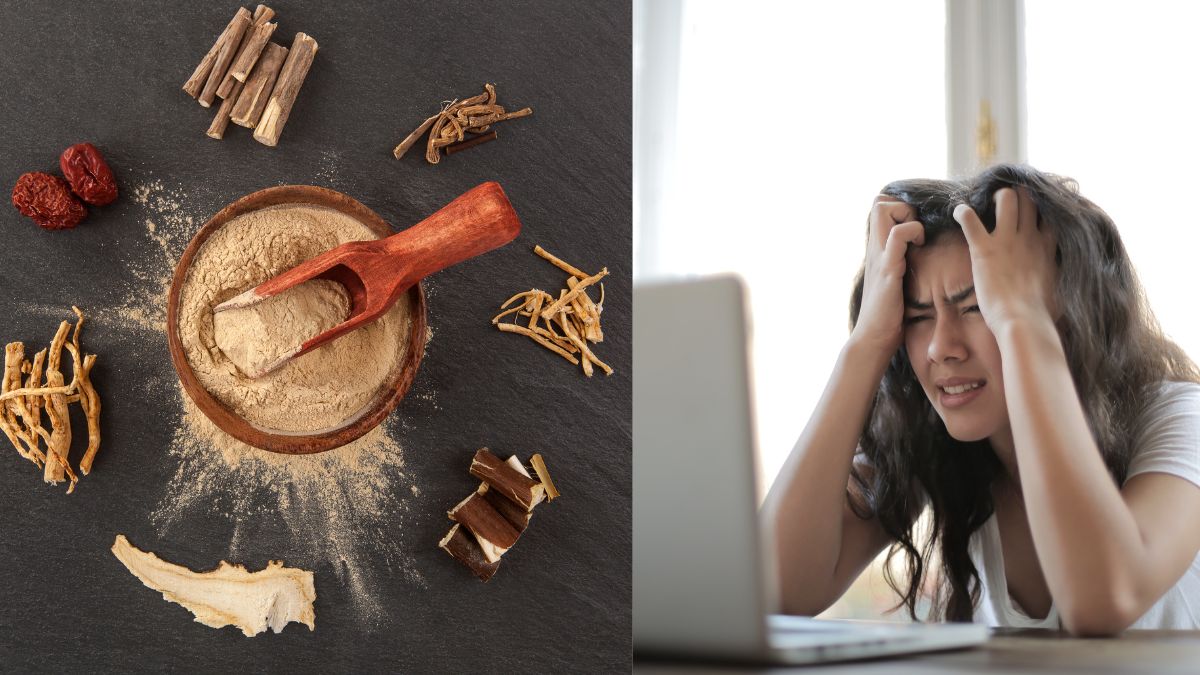 why-ayurveda-ashwagandha-is-the-ancient-antidote-to-modern-stress-know-from-doctor