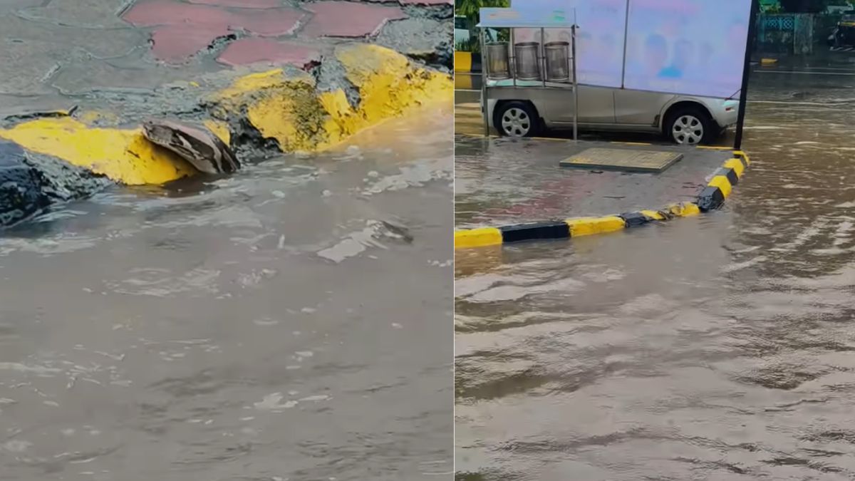 giant-python-spotted-swimming-through-flooded-streets-of-mumbai-viral-video-leaves-netizens-stunned