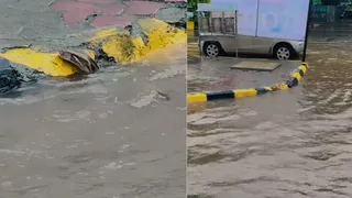 Giant Python Spotted Swimming Through Flooded Streets Of Mumbai; Viral Video Leaves Netizens Stunned