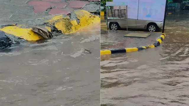 giant-python-spotted-swimming-through-flooded-streets-of-mumbai-viral-video-leaves-netizens-stunned