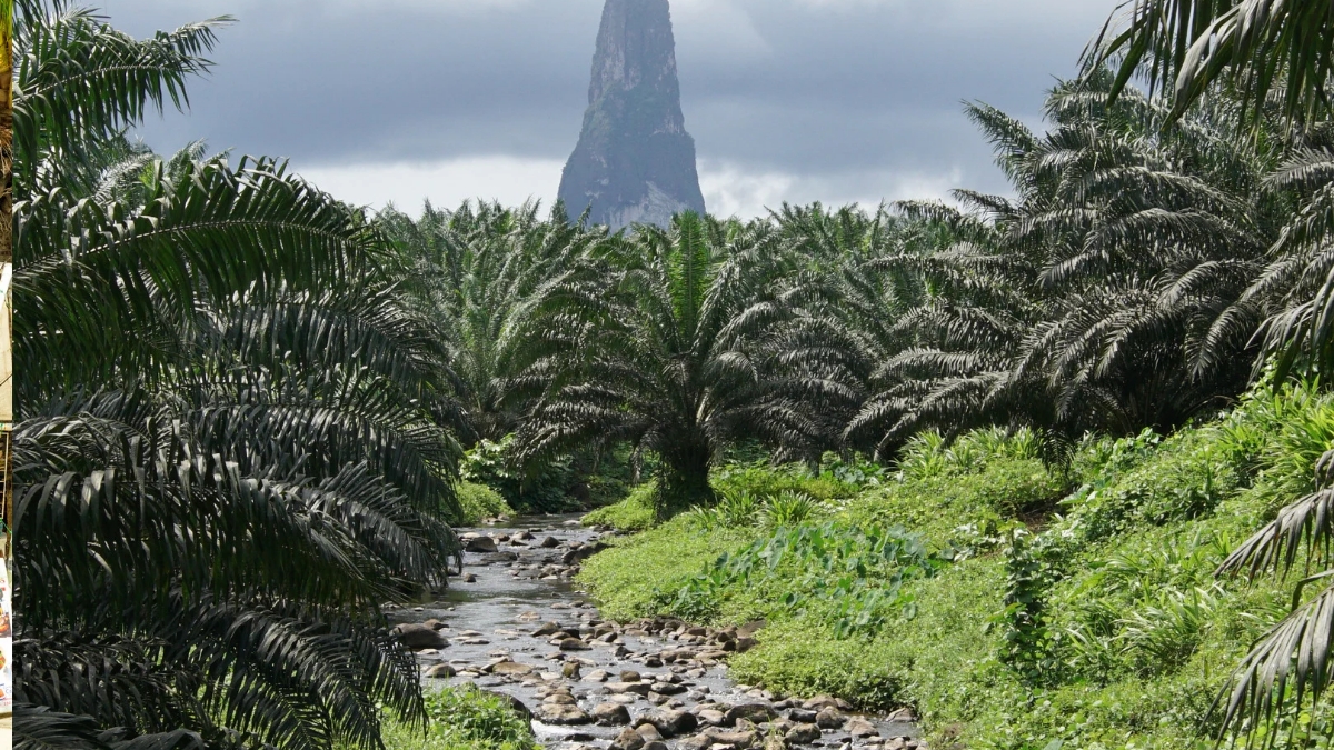 top 10 countries with very low carbon emissions 3