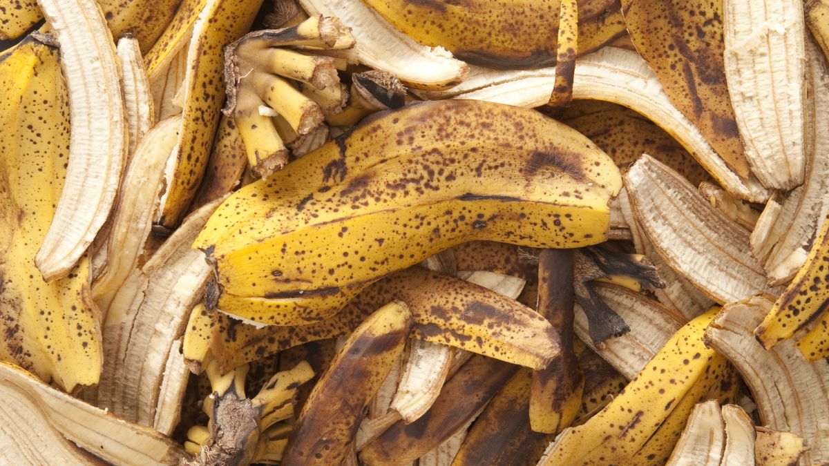 Banana Peels As Plant Fertilisers