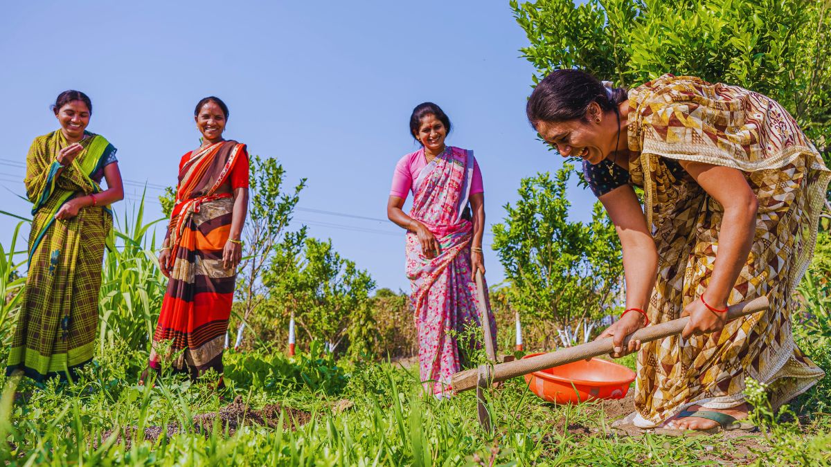 eruvaka-purnima-11-june-2025