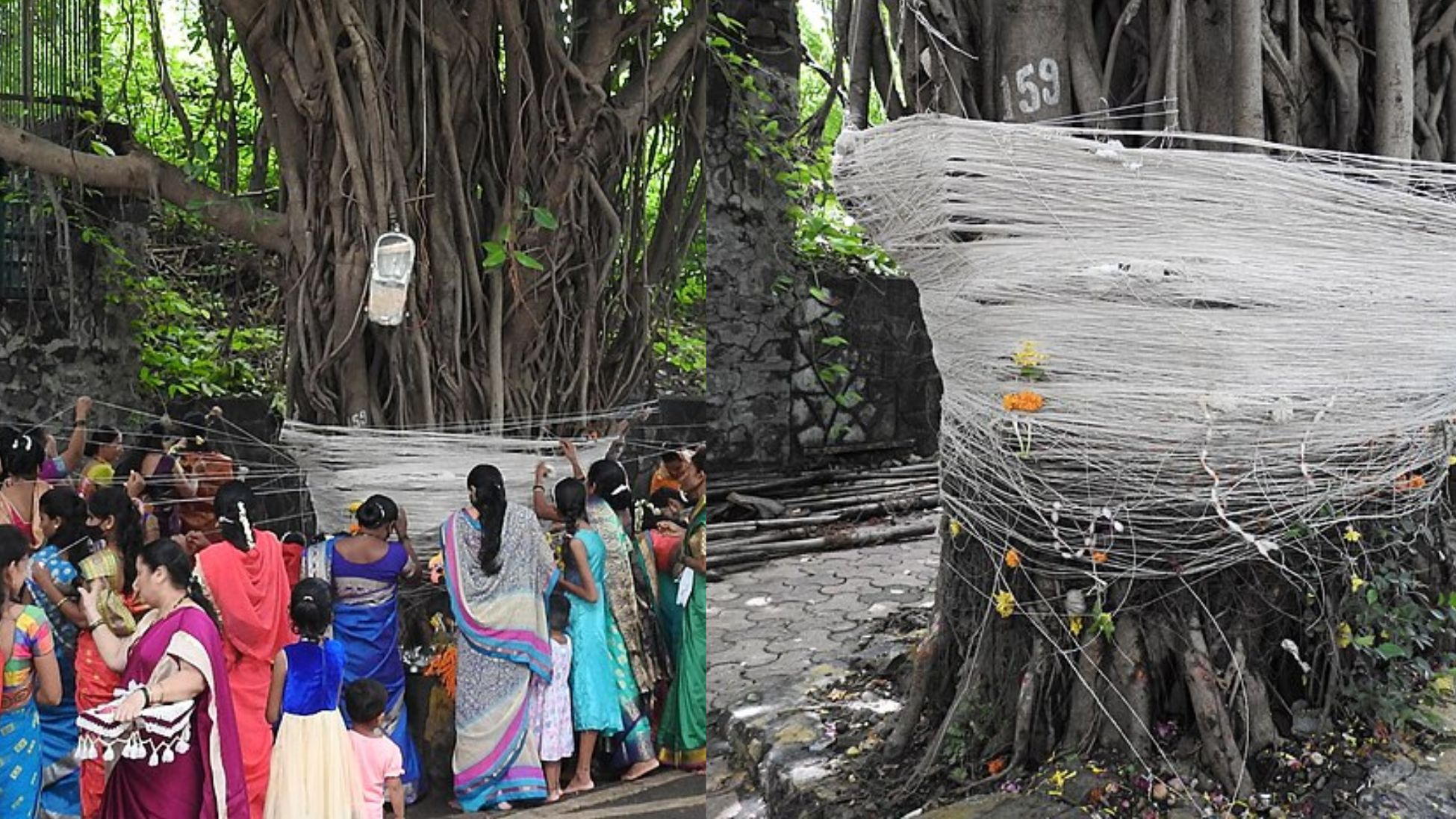 vat-savitri-purnima-10-june-2025