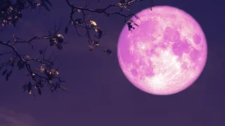 Strawberry Moon 2025: When, Where And How To Watch June’s Last Full Moon