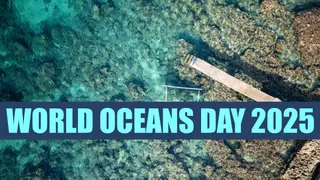 World Oceans Day 2025: Crucial For Climate, Food Security, UN Urges Action To Protect 'What Sustains Us'