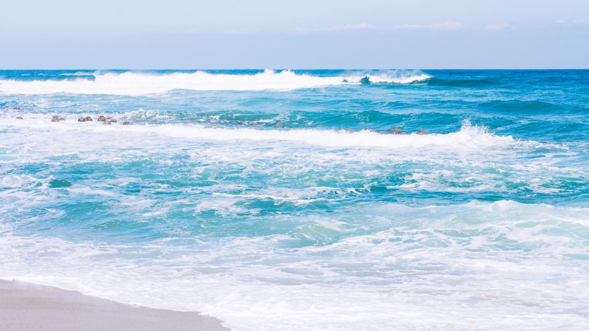 list of oceans and their role in earth's ecosystem (3)