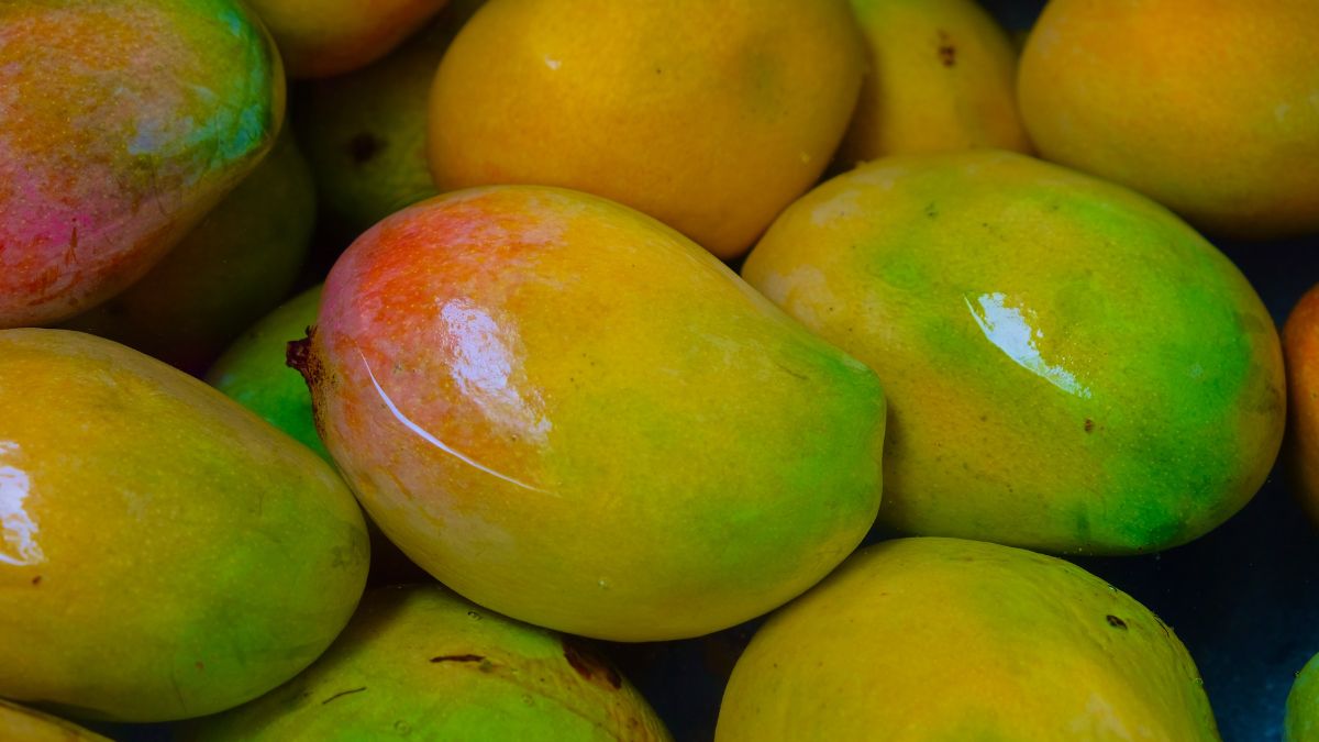 soaking mangoes in water