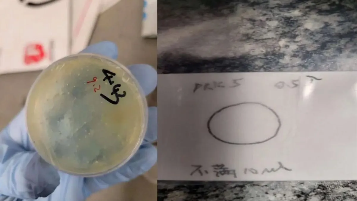 chinese-scientist-arrested-for-smuggling-biological-materials-into-us-second-case-in-a-week